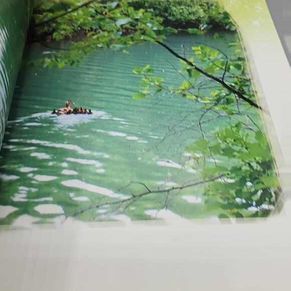 The Noble Wilds by The Supreme Master Ching Hai Paperback - Picture 11 of 15